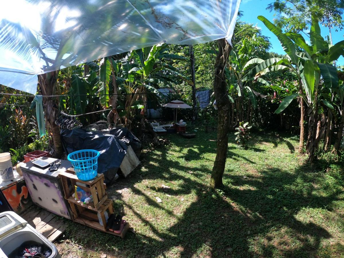 Capurganá Reciclarte Galeria Hostal المظهر الخارجي الصورة